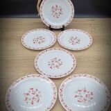 Set 6 flat plates Red and orange flowers