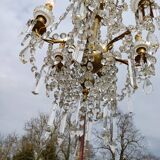 19th century crystal chandelier