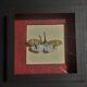 Entomology framework insect pyrops oculatus