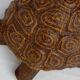 Accolay turtle, ceramic sculpture