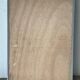 Foliage, oil on wood panel, signed Jean Noel Zanetti