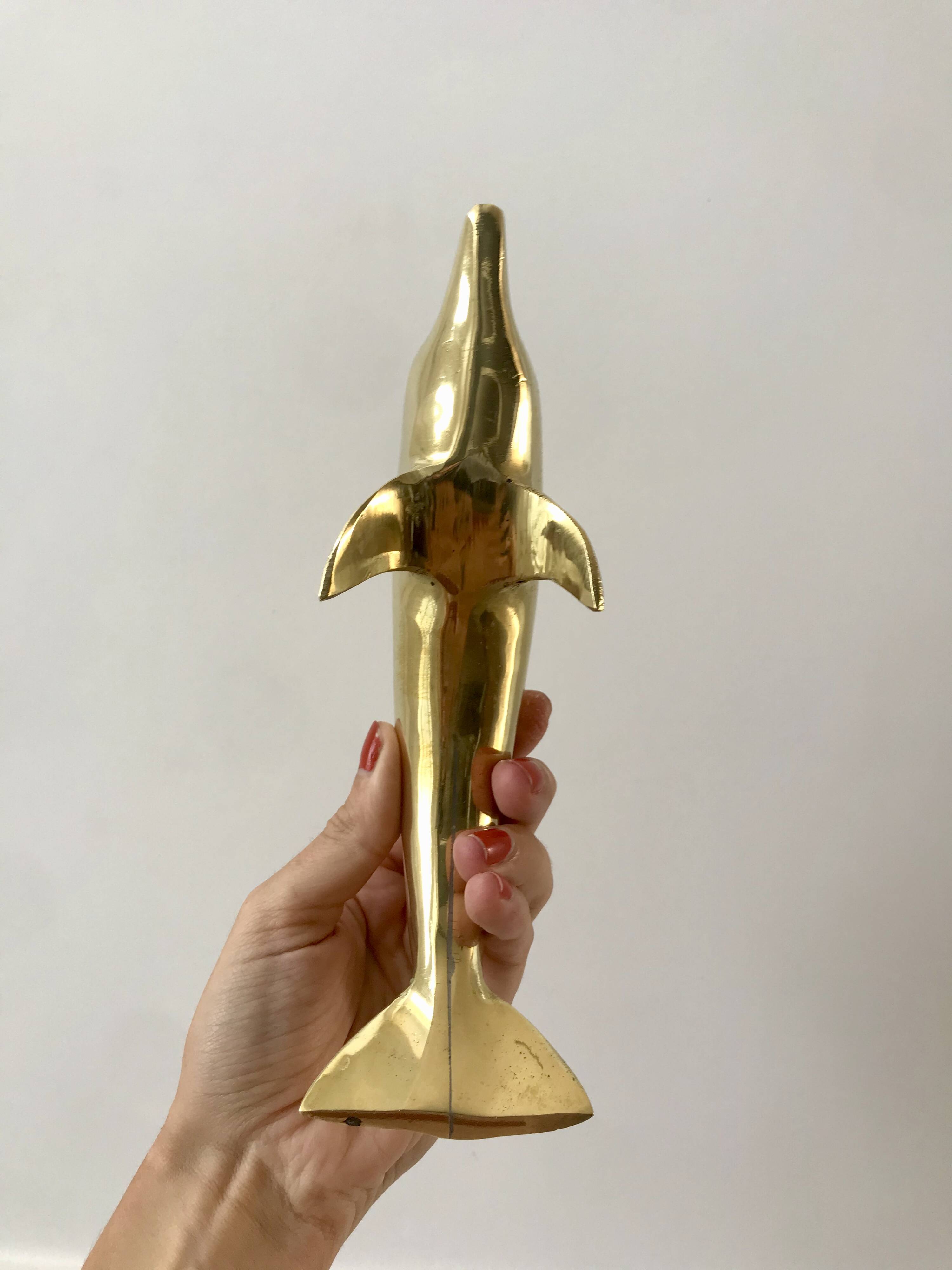 Bottlenose dolphin 1950s