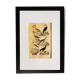 Planche ornithologique originale " Pélican - Cormoran - &c... Buffon 1837