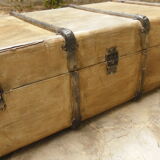 Old trunk patina