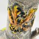 Large vintage floral relief vase
