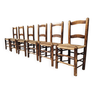 Farmhouse dining chairs, Spain 1970s