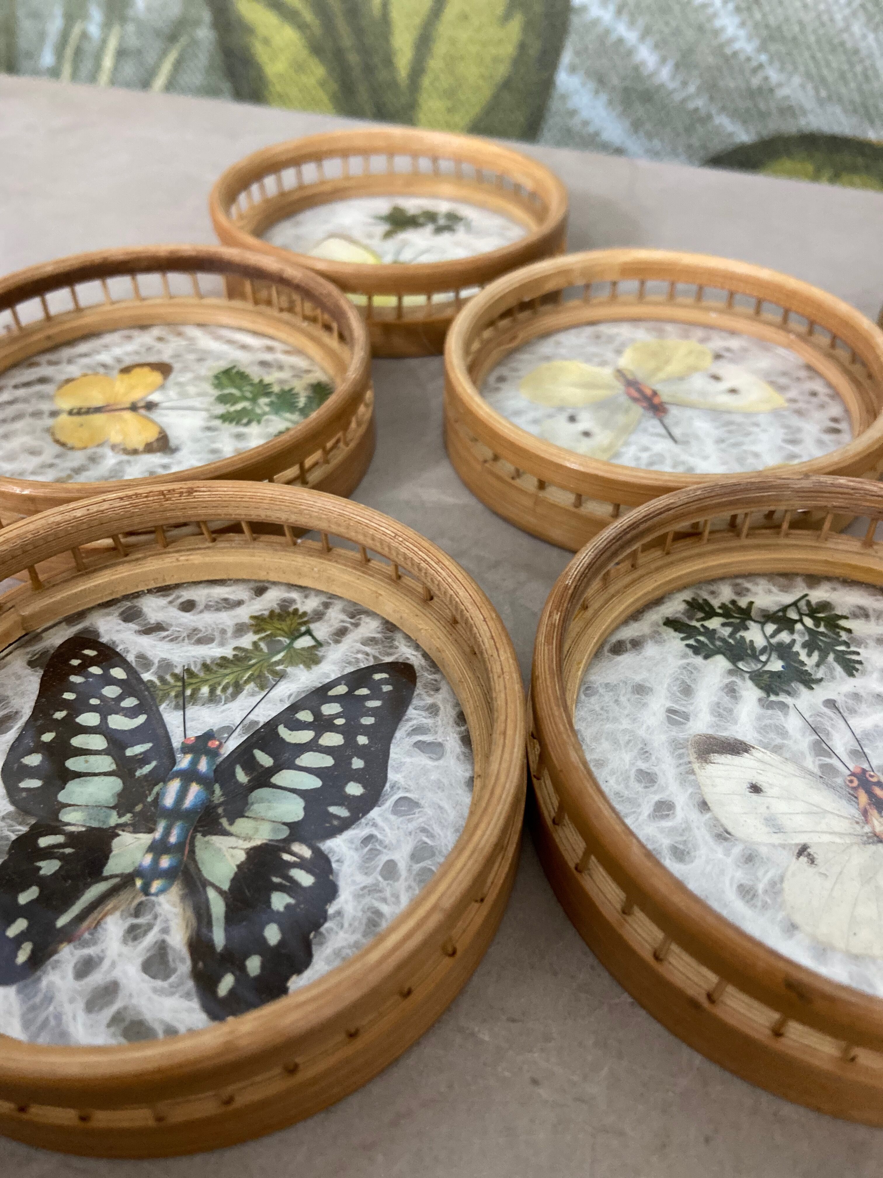 Butterfly coasters