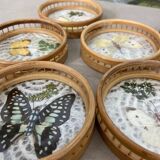 Dessous-de-verre papillons