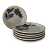 Enamelled stoneware plates