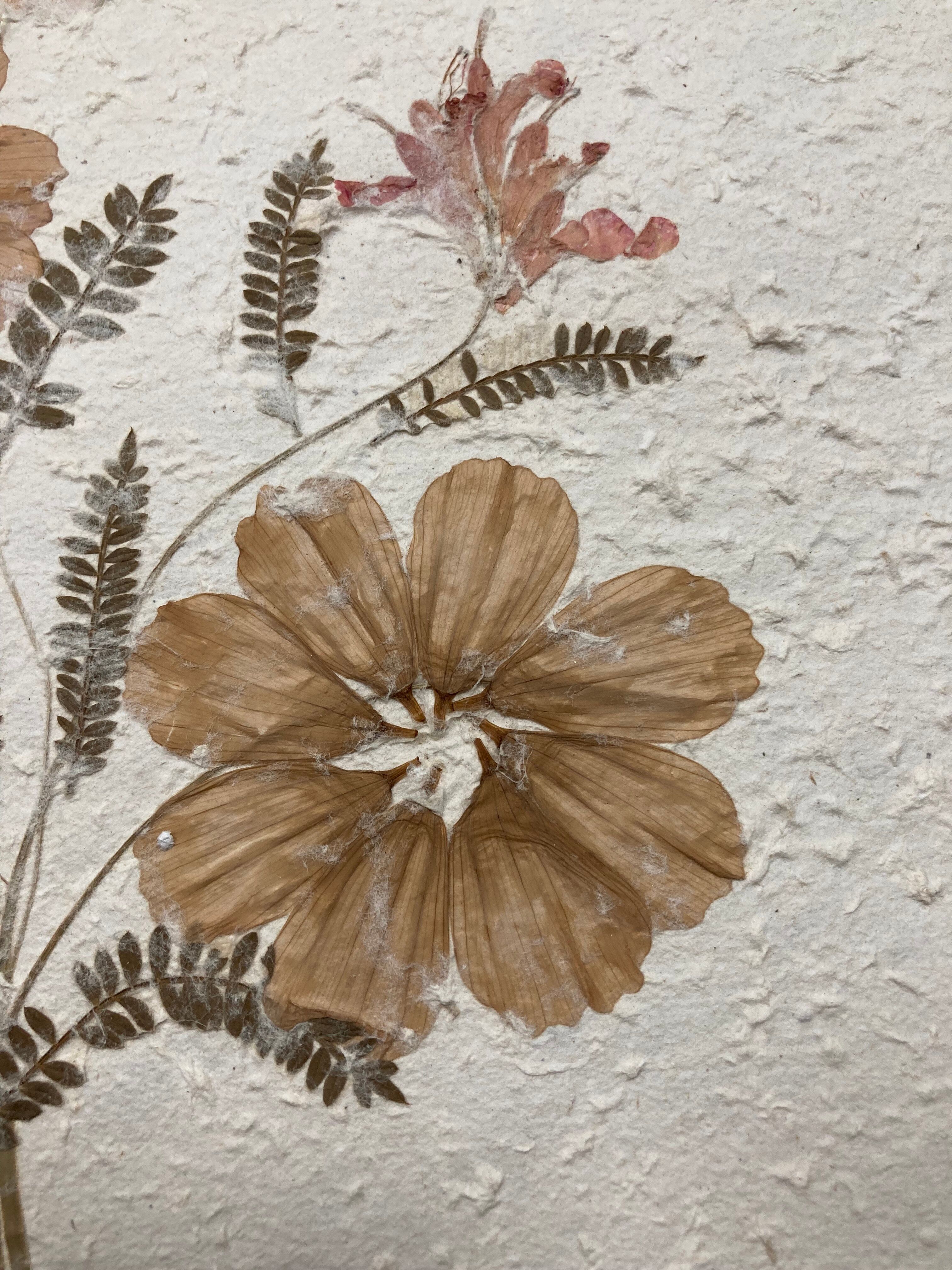 Planche fleurs séchées