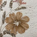 Planche fleurs séchées