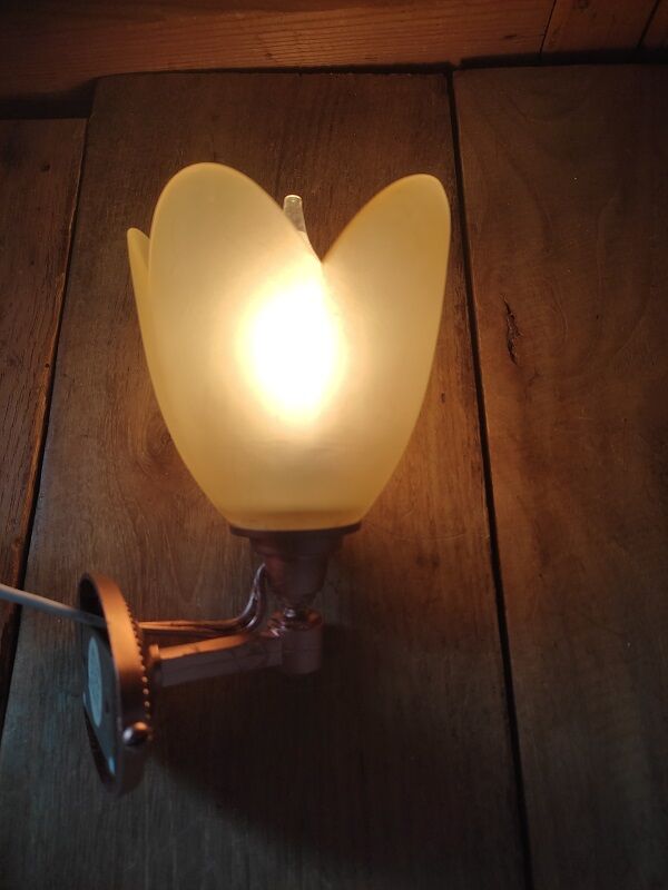 Wall lamp tulip paste frosted glass cast iron pink copper