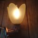 Wall lamp tulip paste frosted glass cast iron pink copper