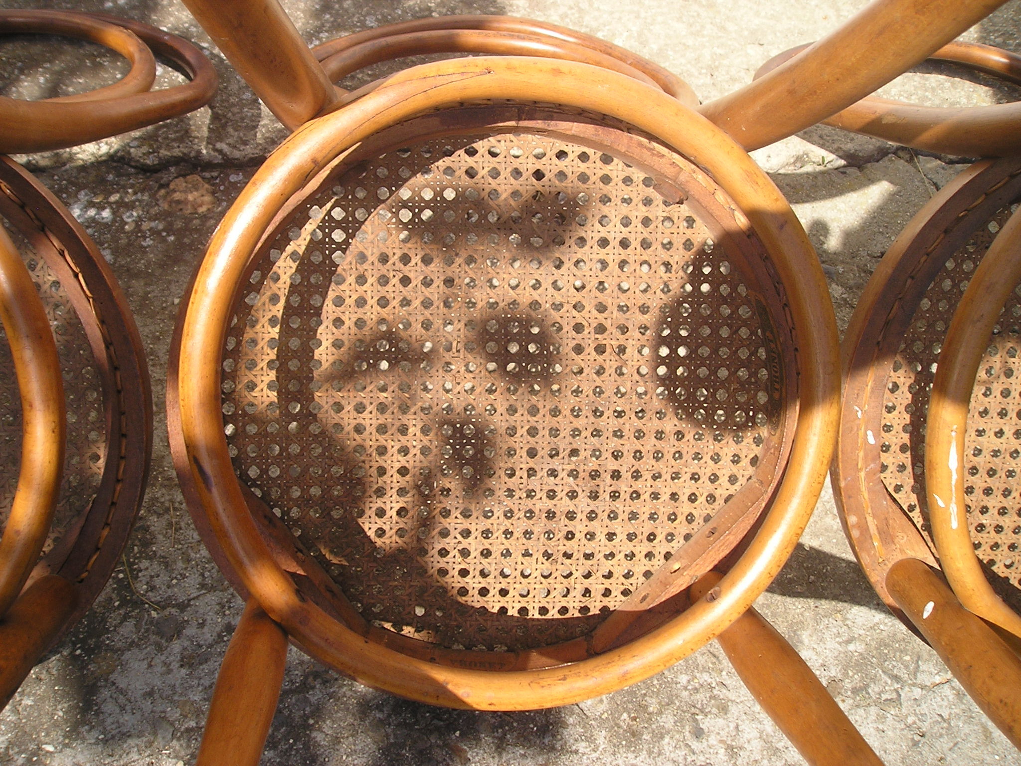 Trio of Thonet chairs late 19th model 14