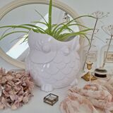White owl planter