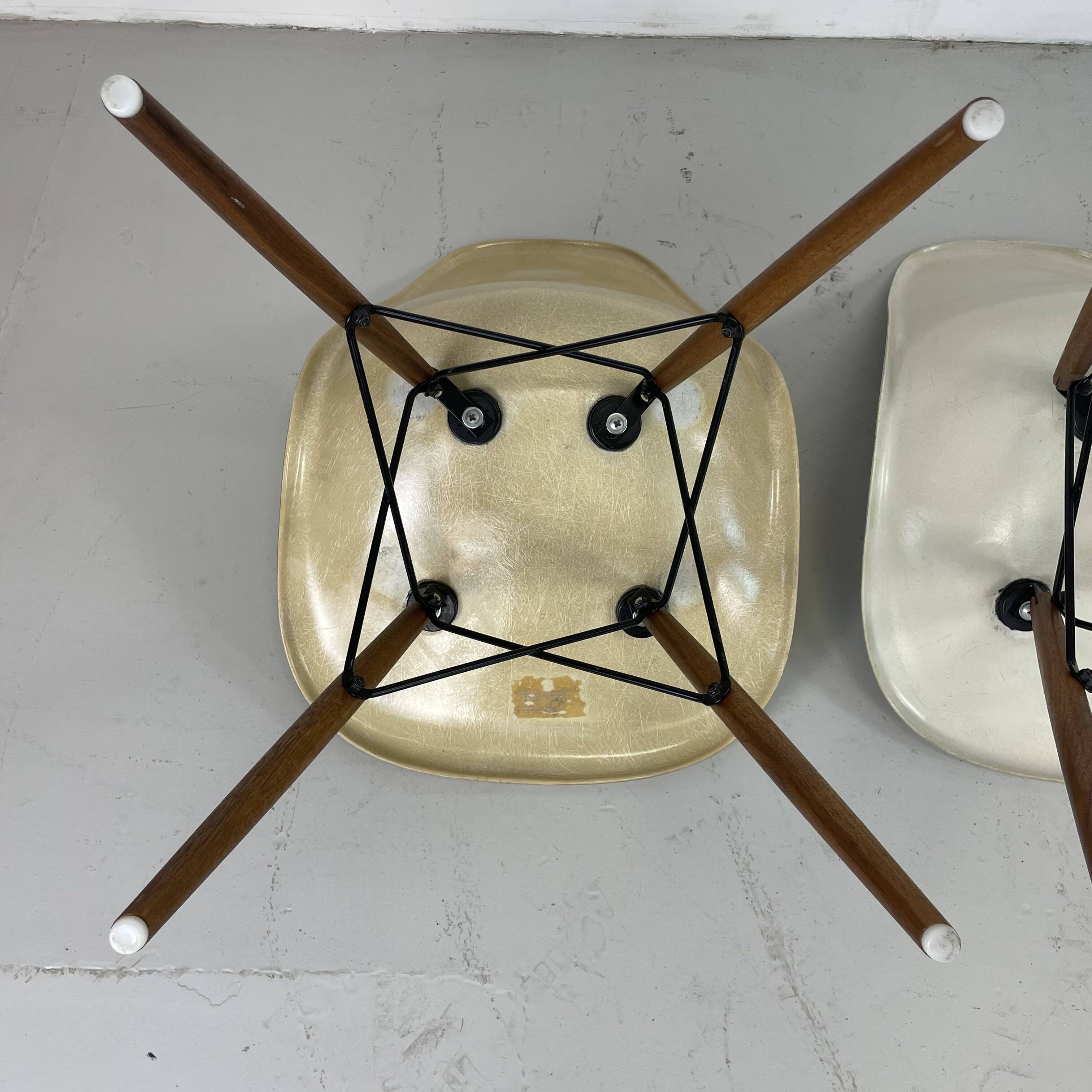 Chaises d'appoint Eames Herman Miller DSW en grège, vert écume de mer, ocre clair et parchemin avec léger