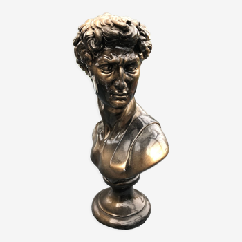 Plaster bust imitation bronze of David