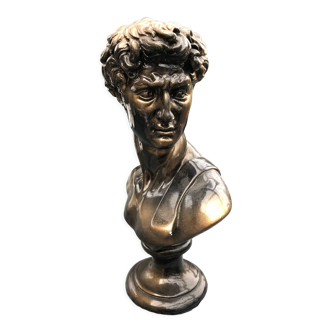 Plaster bust imitation bronze of David