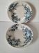 Pair of deep plates Hte Boulenger & Cie Choisy-le-Roi, circa 1885–1900.