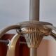 Art Nouveau Guimard style chandelier in nickel-plated bronze
