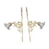 Pair of Napoleon III appliques in gilded bronze