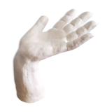 Plaster hand
