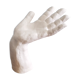 Plaster hand