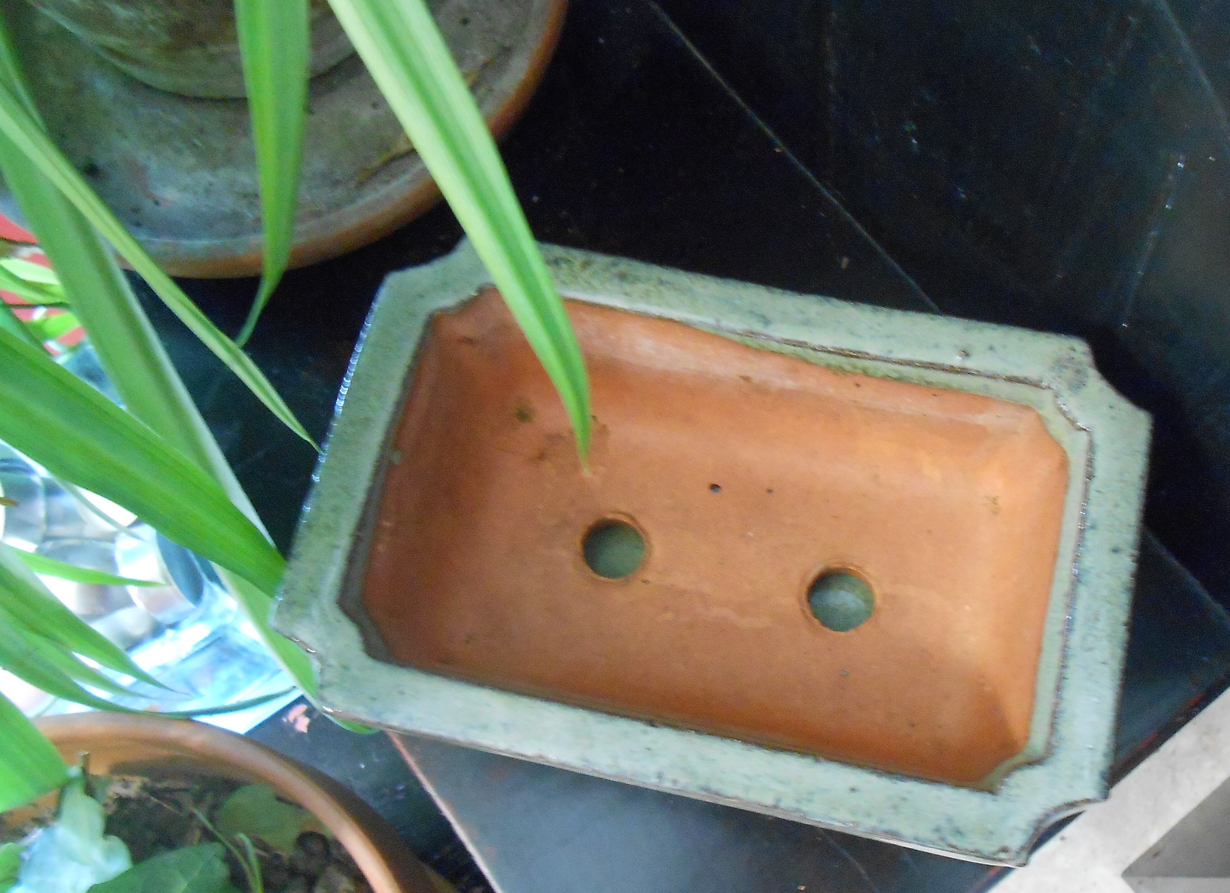 Small terracotta planter