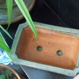 Small terracotta planter