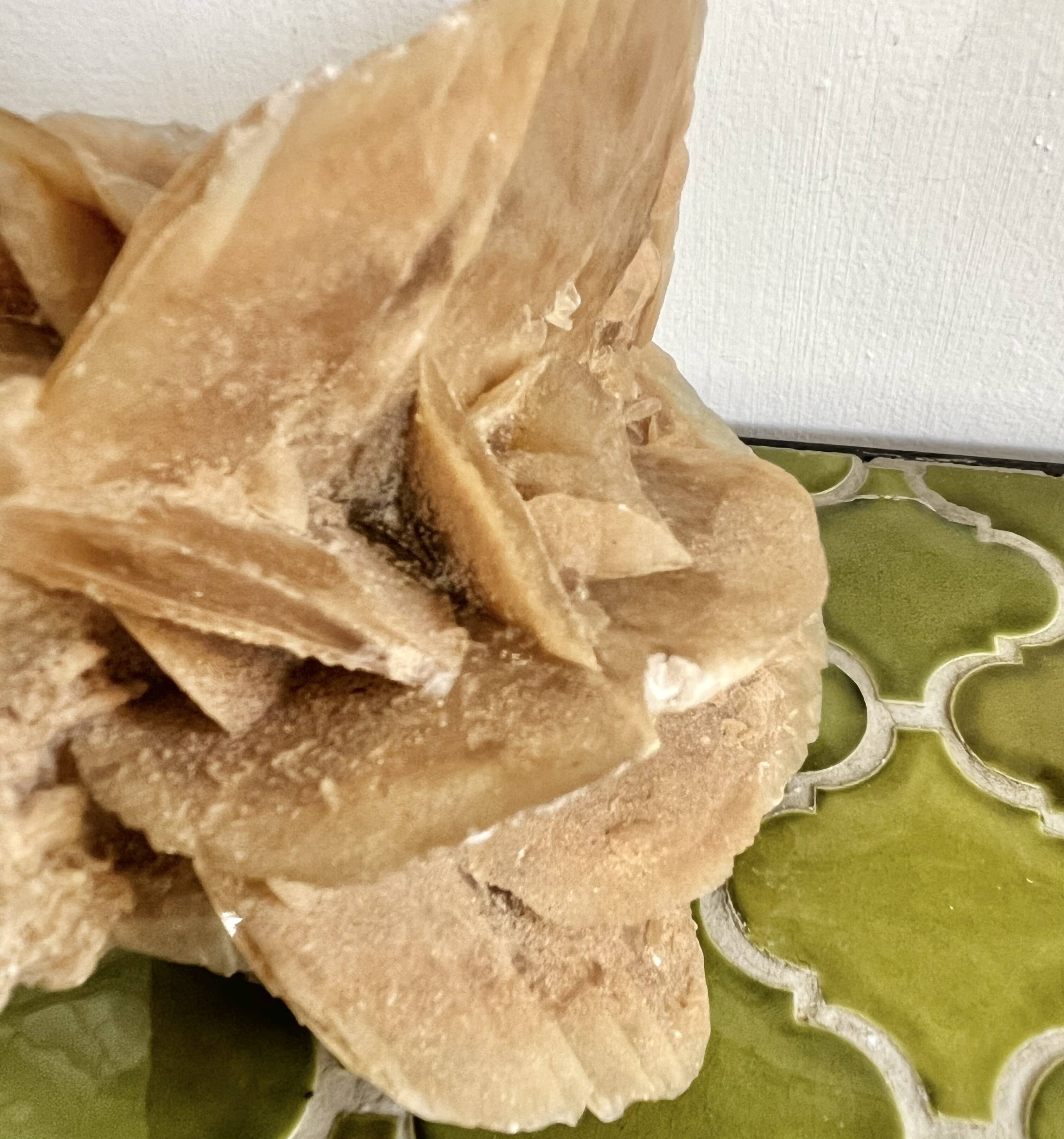 Large size sand rose