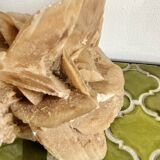 Large size sand rose