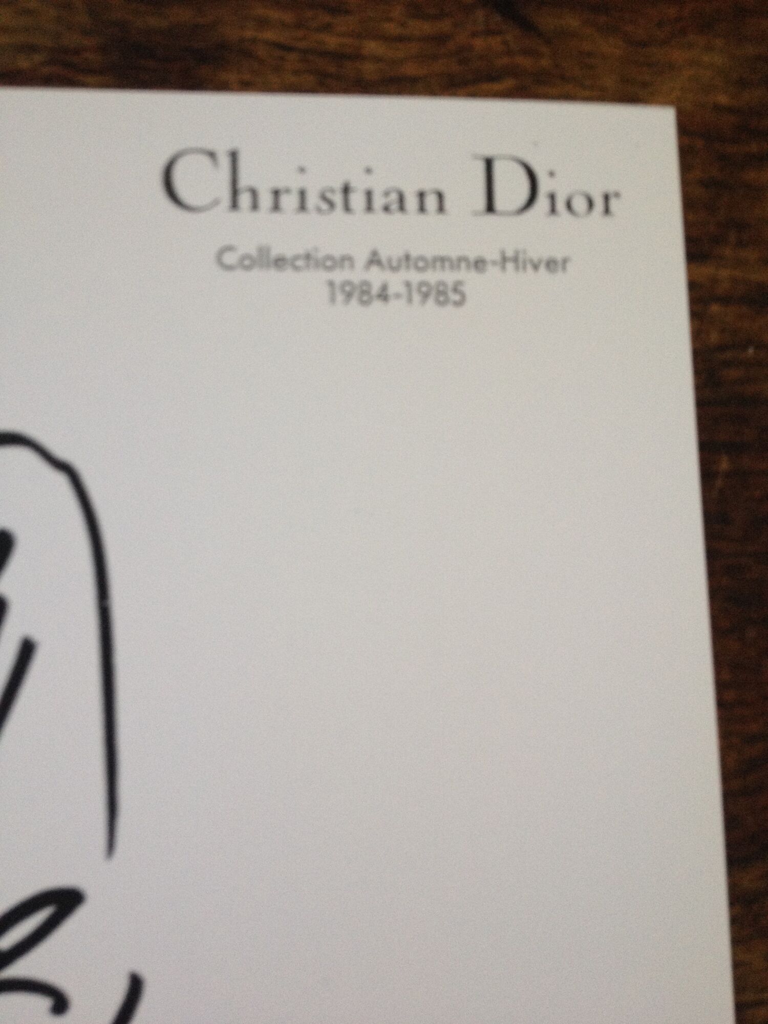 Christian Dior: pretty fashion illustration, autumn collection - Winter 1984- 1985