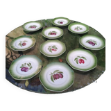 Set of 10 Pexonne Fruit Decor plates