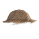 Lampe