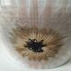 Saint Amand plate model Urchin - vintage and arty
