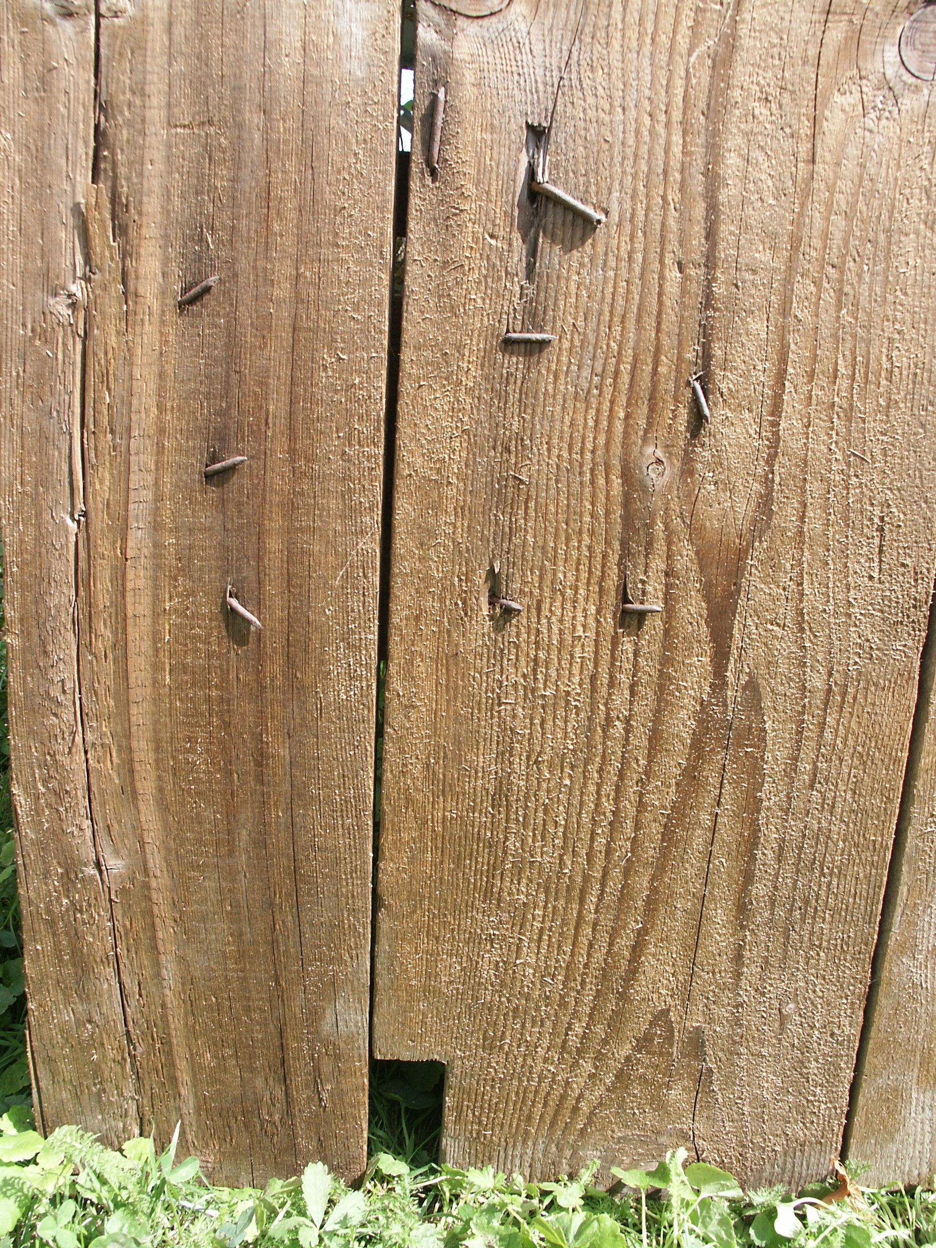 Barn door outbuildings