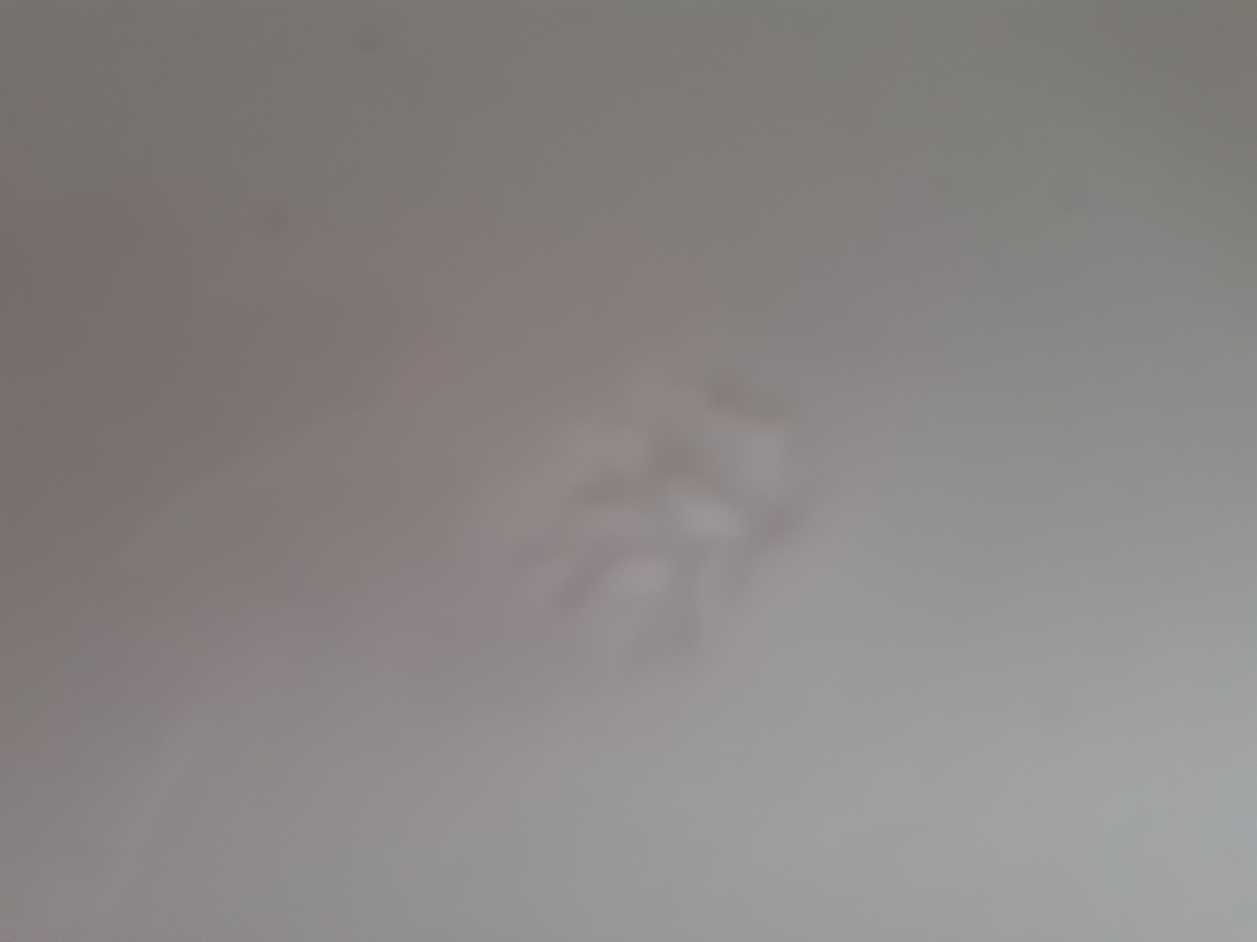 2 vintage hollow plates blue floral pattern