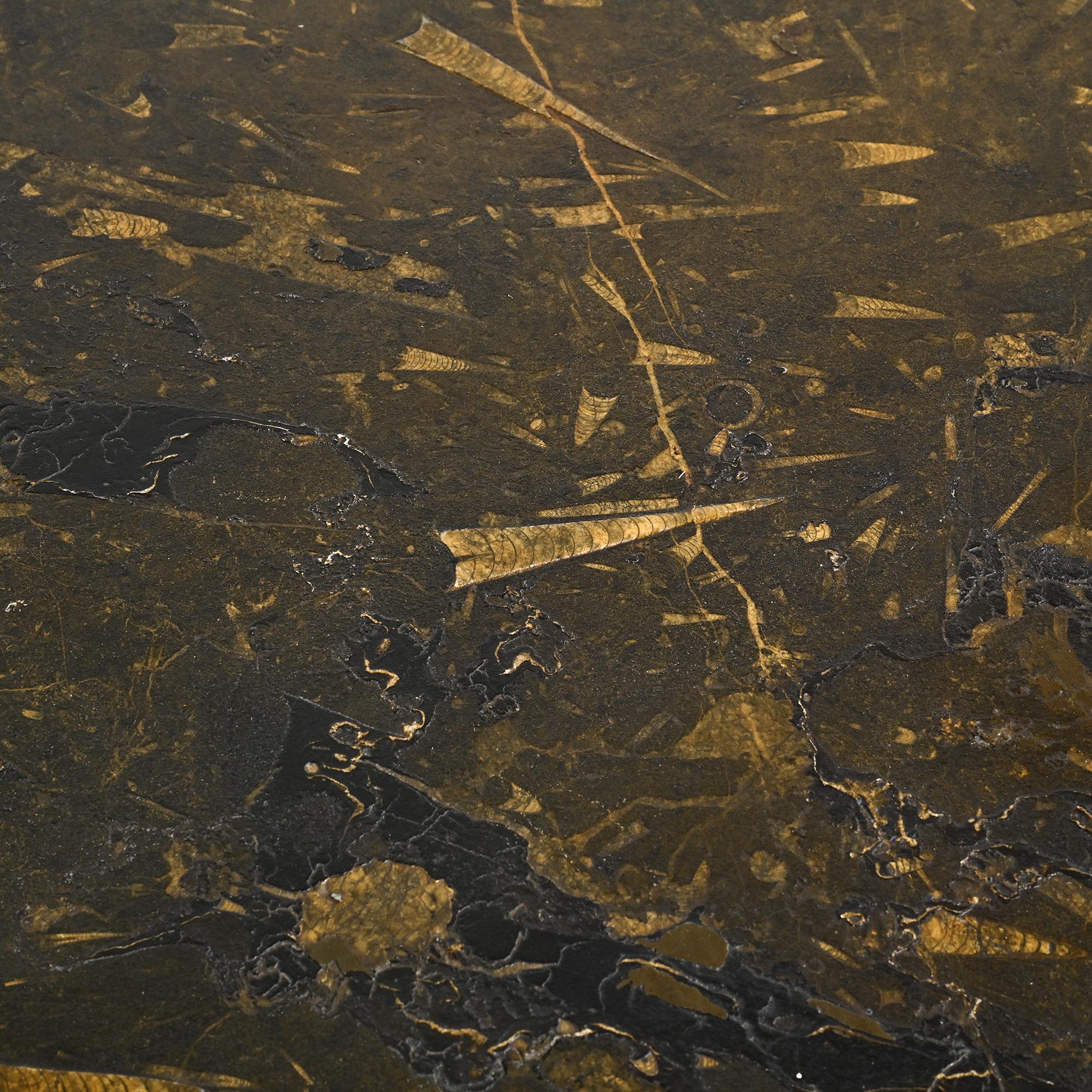 Fossil stone coffee table, Fossile collection, Switzerland, circa 1980.