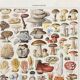 Illustration ancienne Millot "Champignons"