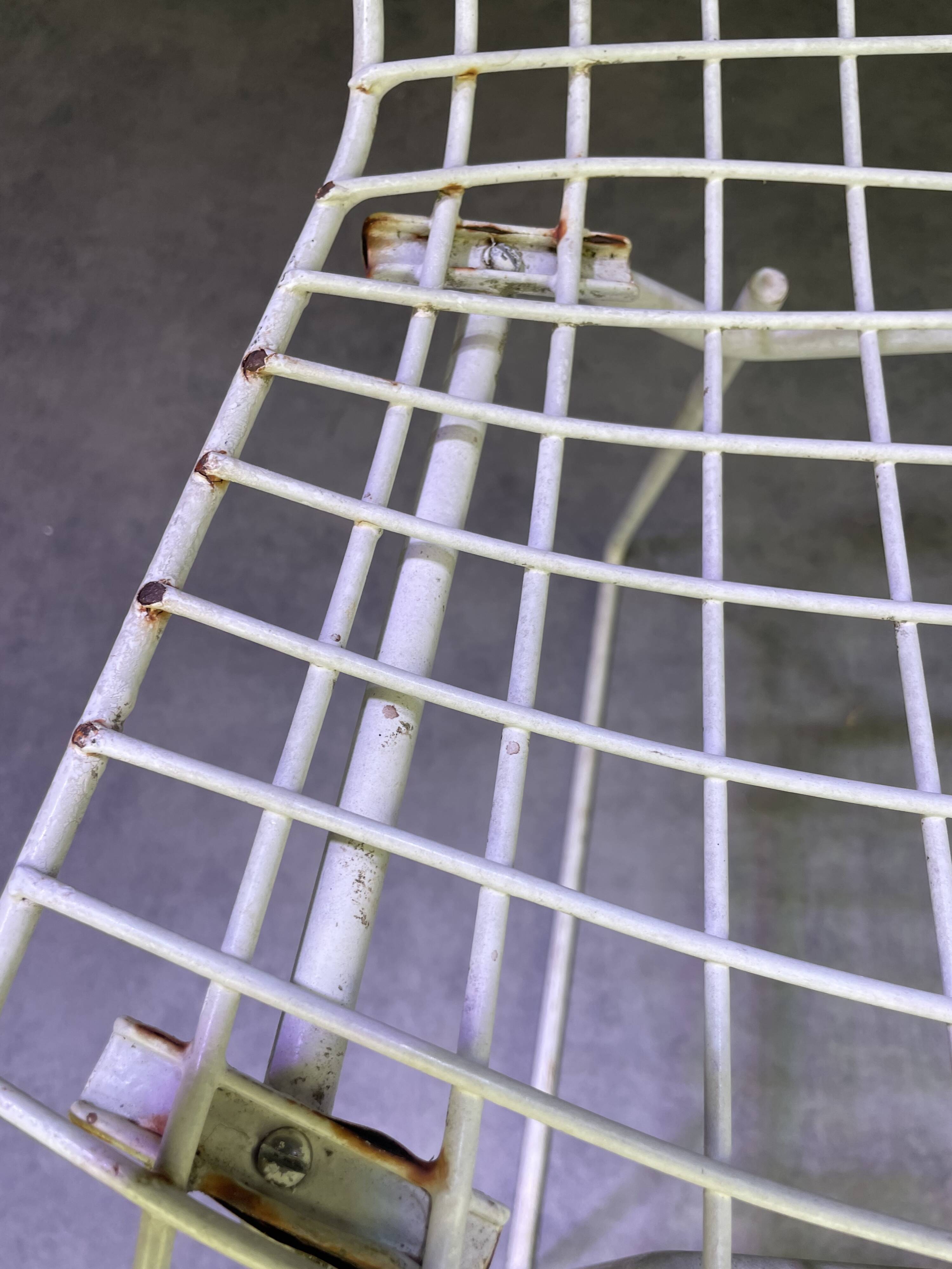 Pair of Bertoïa chairs