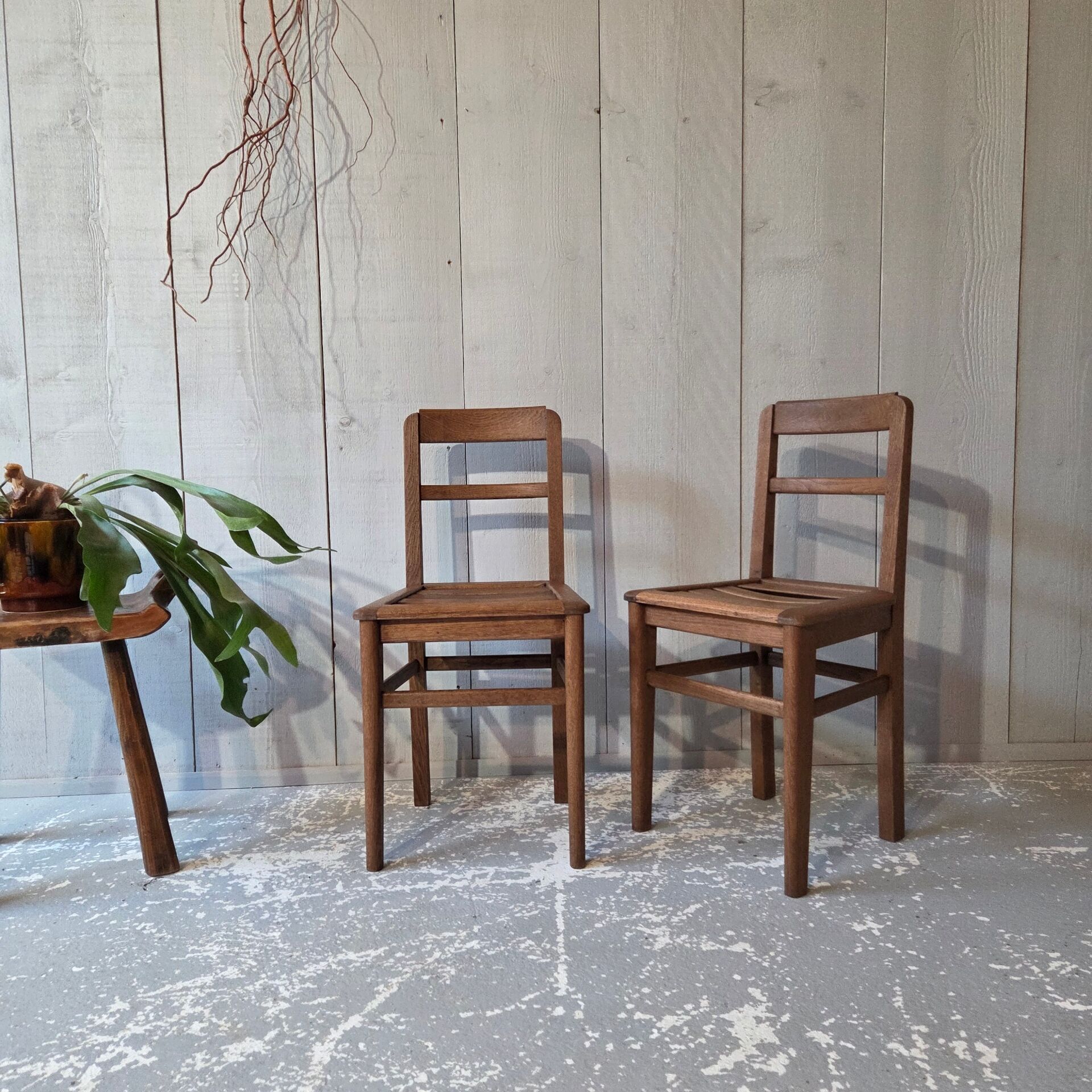 Oak chairs