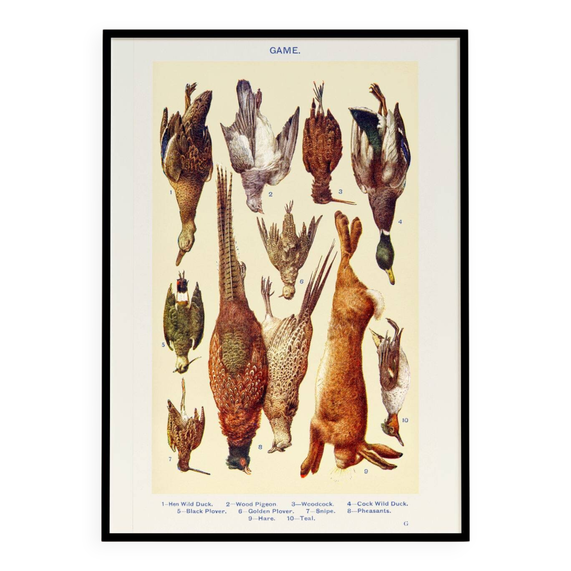 Poster about game (1), based on an old lithograph from 1923.