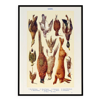 Poster about game (1), based on an old lithograph from 1923.