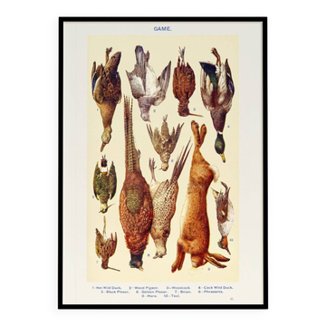 Poster about game (1), based on an old lithograph from 1923.