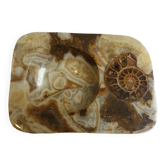 Marble pocket ashtray with fossil ammonite