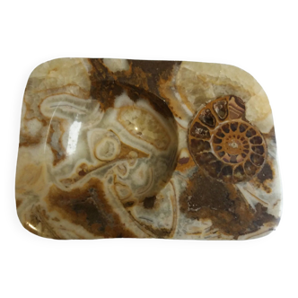 Marble pocket ashtray with fossil ammonite