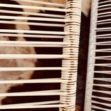 2 garden armchairs in white scoubidou