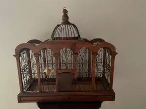 Cage à oiseaux decorative