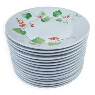 Lot de 15 Assiettes Porcelaine Compagnie Nationale de Porcelaine Tradition CNP France à Décors