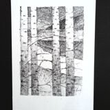 "abers" ink from China